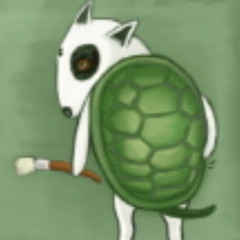 Turtle Terrior