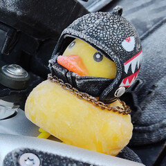 ArtStation profile picture for @aga