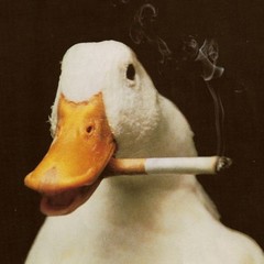 Ducky Duckling