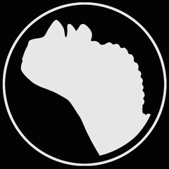 ArtStation profile picture for @synopsis