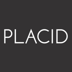 ArtStation profile picture for @placid