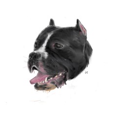 ArtStation profile picture for @schnauzer