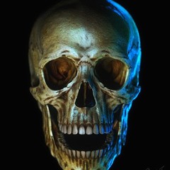 ArtStation profile picture for @survivor