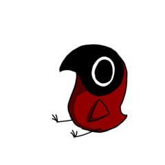 Obserbird
