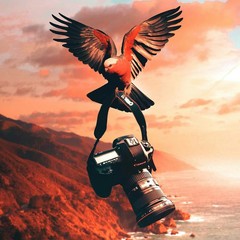 ArtStation profile picture for @dig