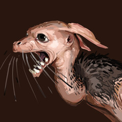 Sphynx "Seht"