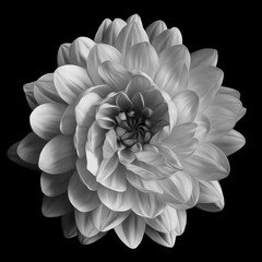 ArtStation profile picture for @daffodils