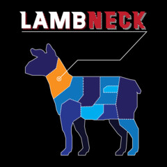 Matthew Lamneck