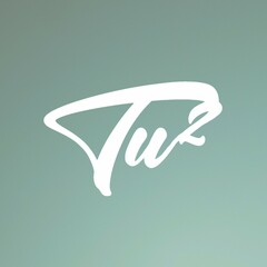 ArtStation profile picture for @tu2