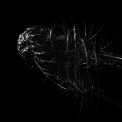 ArtStation profile picture for @sutures