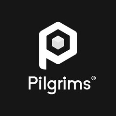 Pilgrims Game Studio