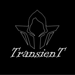 ArtStation profile picture for @transient