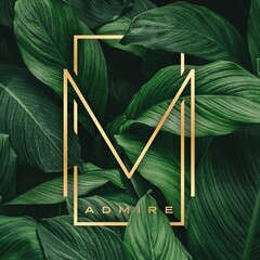 ArtStation profile picture for @admire