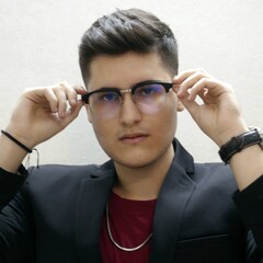 Mohammad Mahdi Seifi