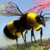 Firebee