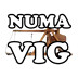 NumaVIG