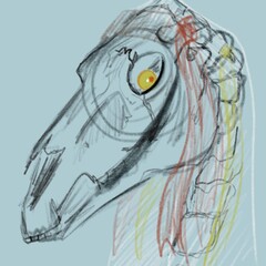 ArtStation profile picture for @nora