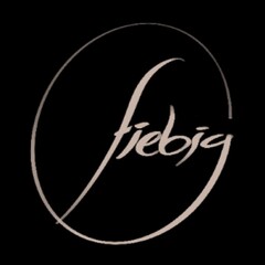 ArtStation profile picture for @fiebig