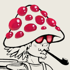 Ludicobo