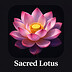 Sacred Lotus Studio