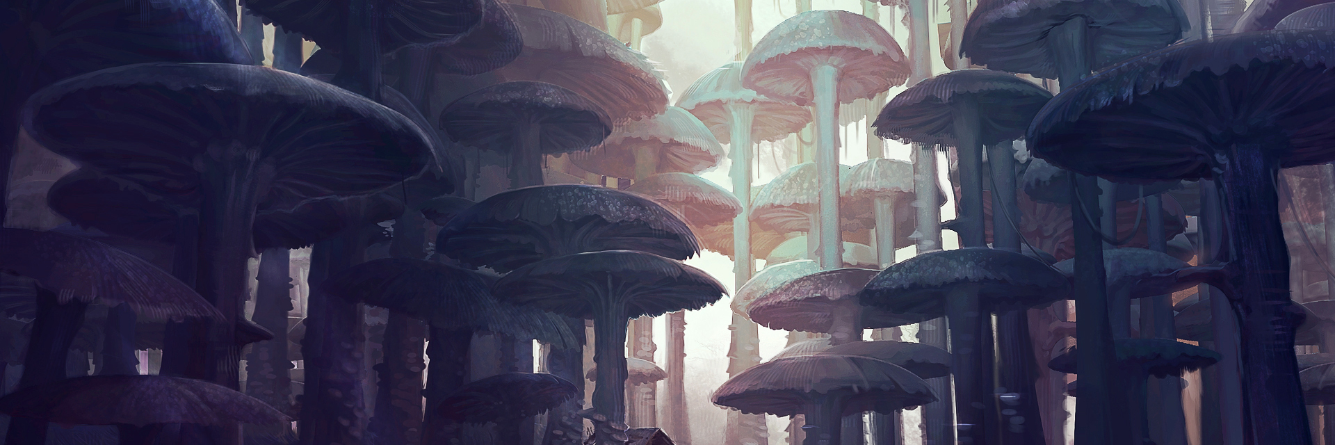 ArtStation banner for @porta