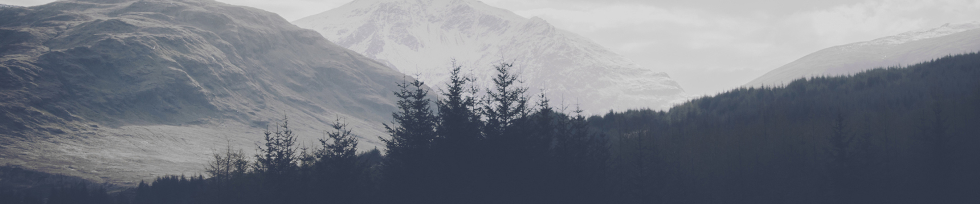 ArtStation banner for @habitat