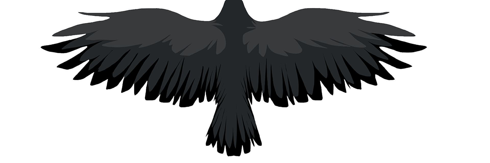 Ворона с расправленными крыльями