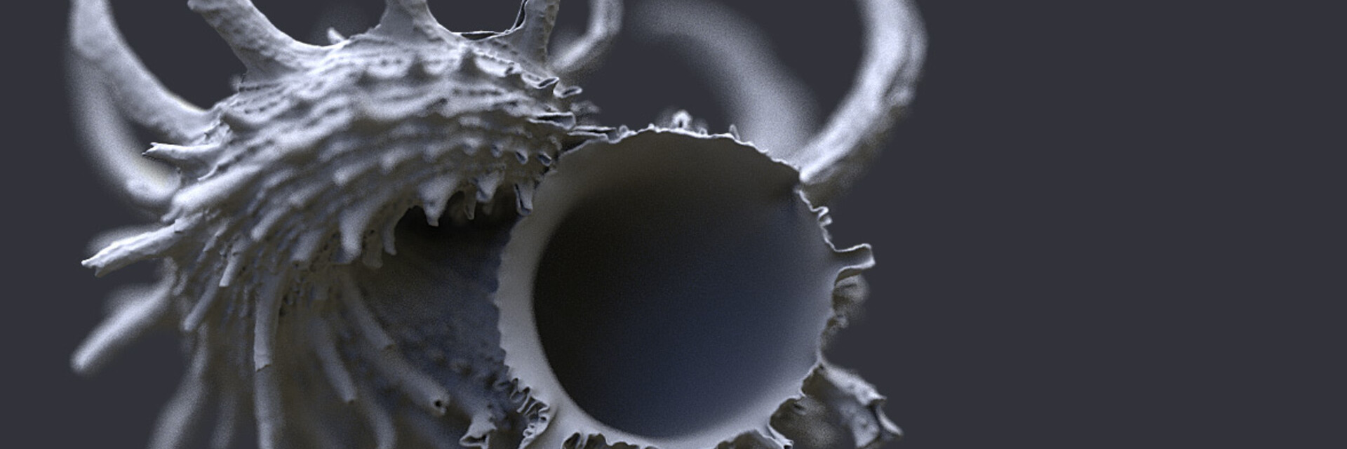 ArtStation banner for @textures