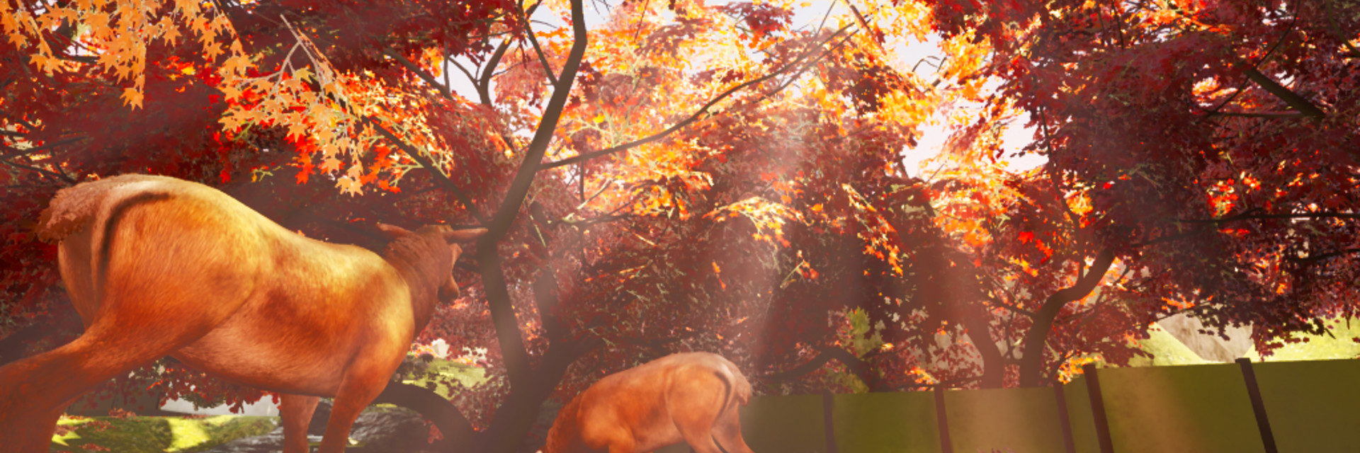 ArtStation banner for @dreaming