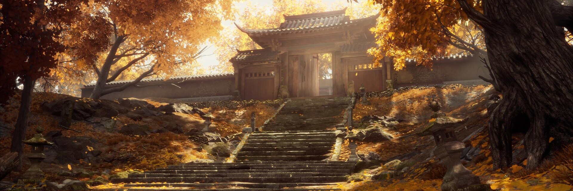 ArtStation banner for @success