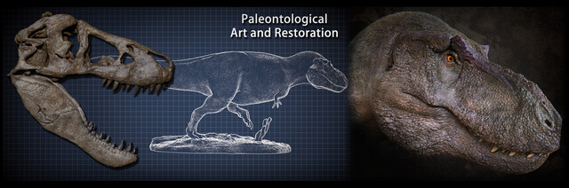 TYRANNOUSAURUS REX paleoartistic reconstruction -  Portugal